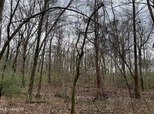 8 Okelly Cir, Natchez, MS 39120