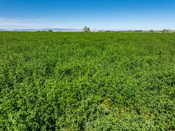 5th image of 17 Morgan Rd