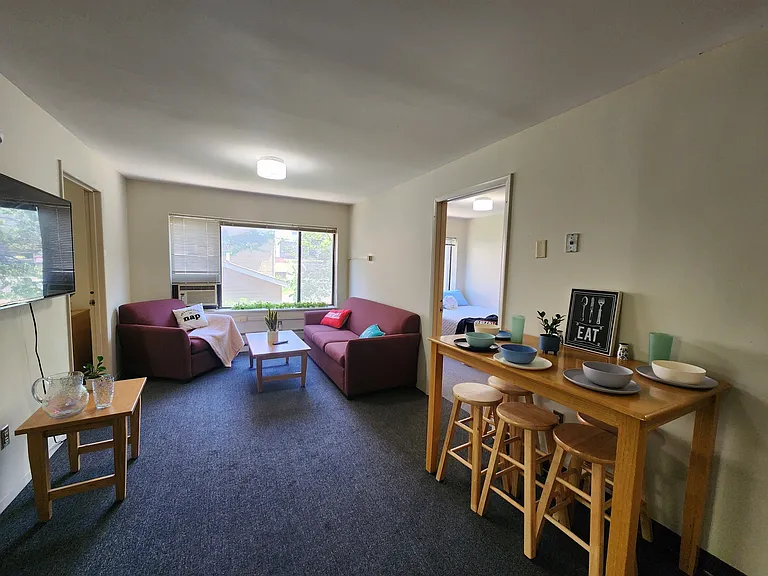 Collegetown Court, 208 Dryden Road — Photo 126
