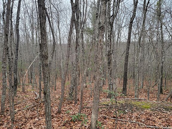5th image of 0 White Oak Ln
