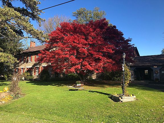 Front yard