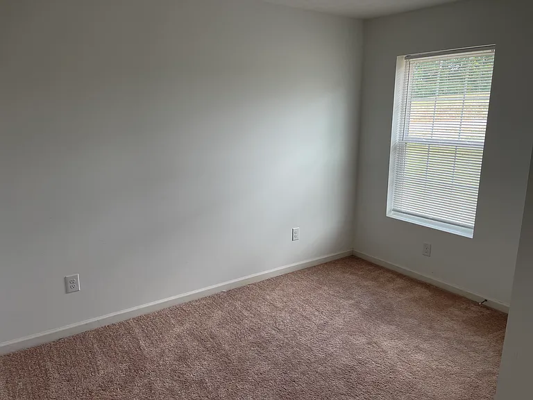 491 Coile Rd — Photo 16