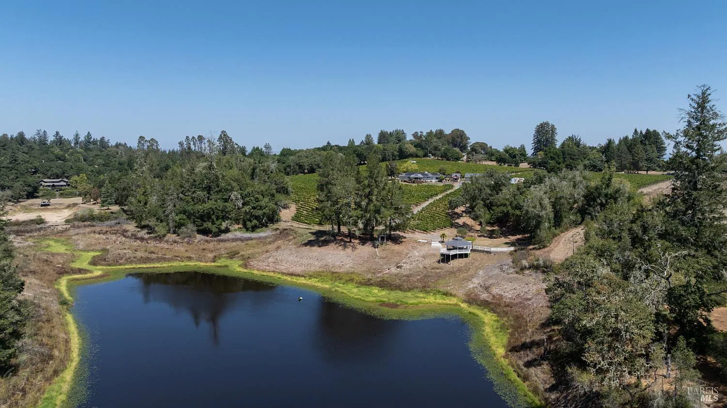 4630 Maddocks Road - Photo 3