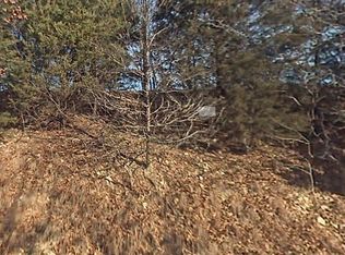 LOT W Airport Dr #54 & 55, Garfield, AR 72732