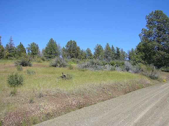 5th image of Canary Ln