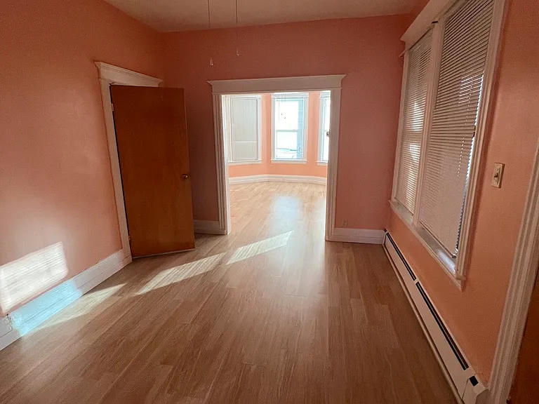1125 Albany St #1 — Photo 11