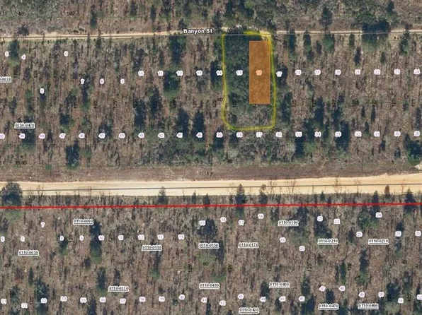 Banyan St #15-16, Interlachen, FL 32148