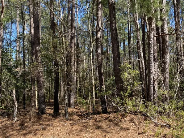 0 Page Road, Burgaw, NC 28425