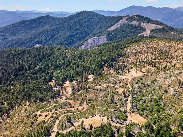 1120 W Upper Democrat Gulch Rd, Weaverville, CA 96093