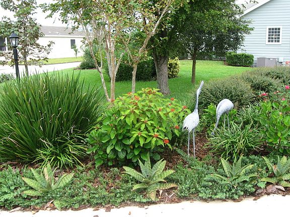 5th image of 5108 Americo Ln