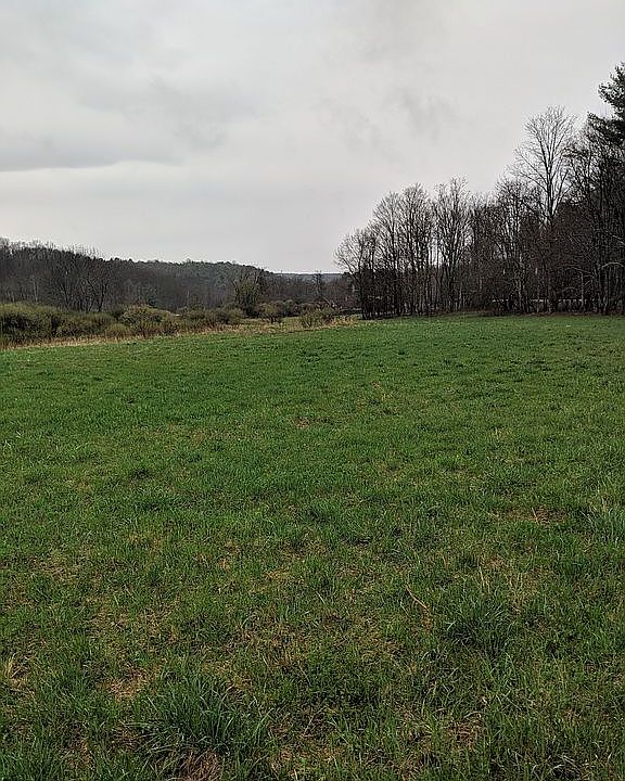 2nd image of 231 Bearkill Rd