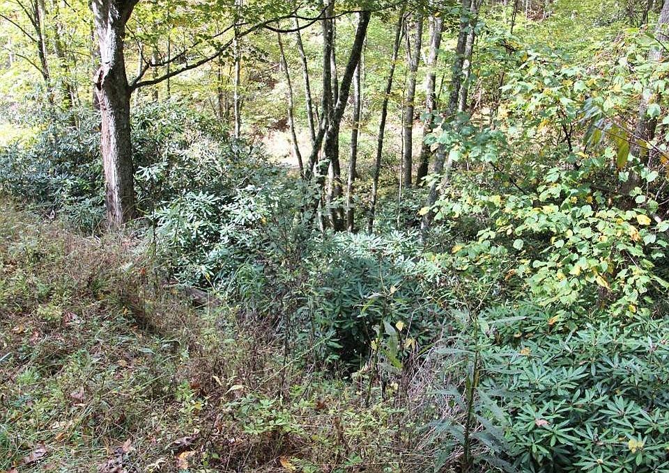2nd image of 0 Old Cabin Private Rd