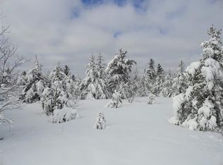 80 Acres Off Ford Rd, Big Bay, MI 49808