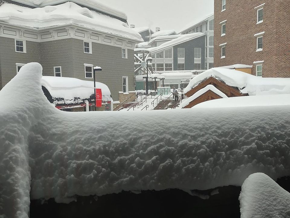 1st image of 1385 Lowell Ave #227
