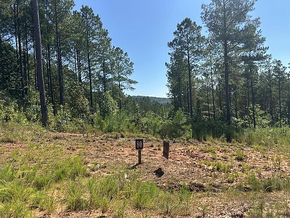 2nd image of LOT 80 Seven Mile Creek Rd