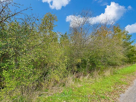 5th image of 15 Martin Rd