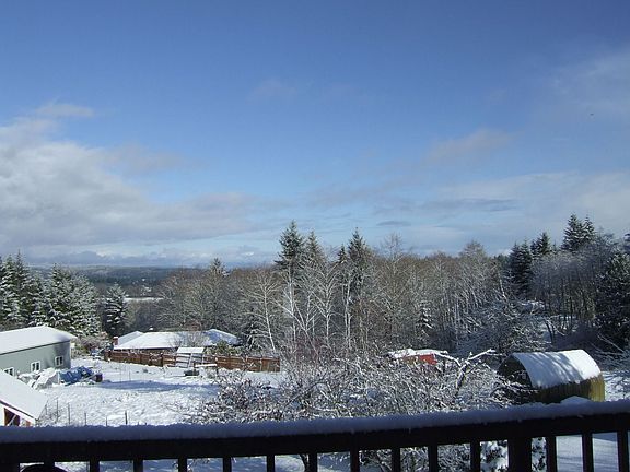 view from the deck