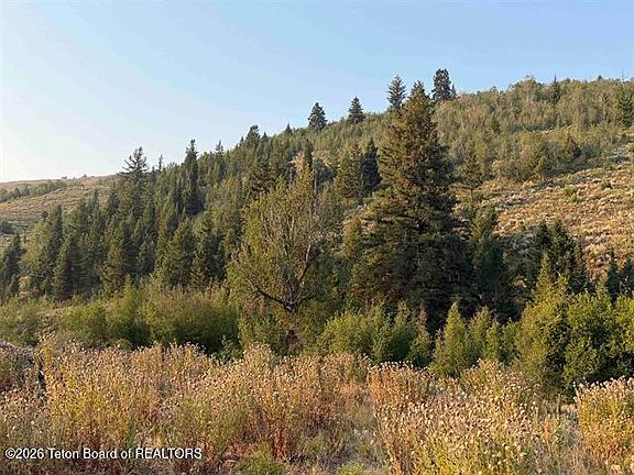 5th image of LOT 1 Bloomington Canyon Rd