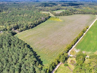 0 Gator Loop, Saint George, SC, 29477