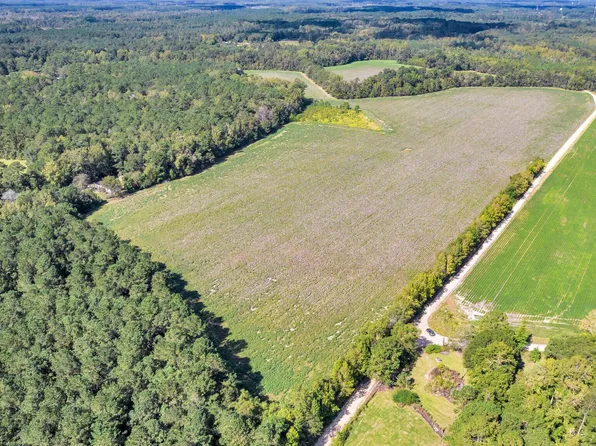 0 Gator Loop, Saint George, SC 29477