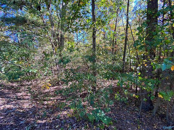 4th image of LOT 18 Blackburn Ln
