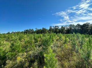 PARCEL Buck Tyner Rd #M, Laurel Hill, FL 32567