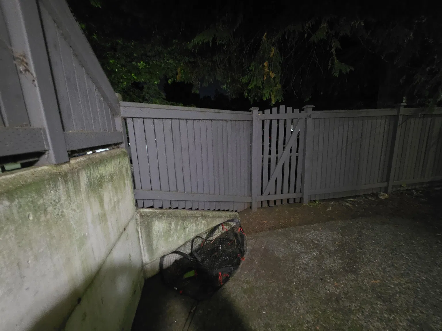 2 bed, 918 sqft, $1,800 — Photo 4