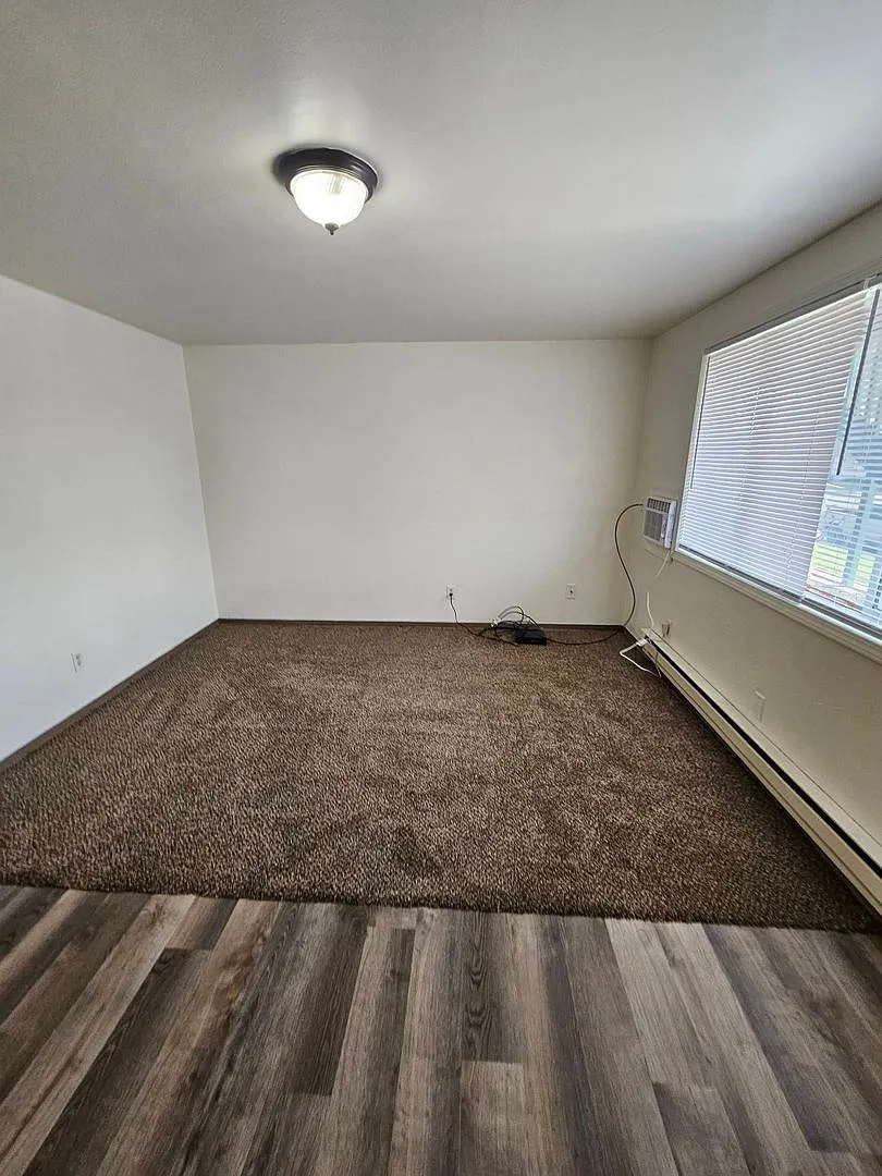 1 Bedroom Apartment- September rent FREE with 12-month lease! — Photo 4