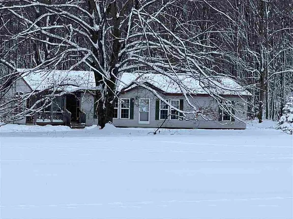 8240 Luce St, Alanson, MI 49706