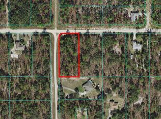 0 SW 125th Court Rd, Dunnellon, FL 34432