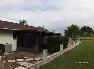 10802 E Revels Rd, Howey In The Hills, FL 34737
