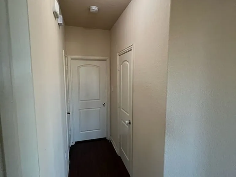 3729 Caladium Ln — Photo 20