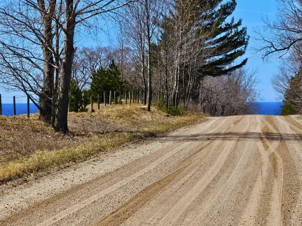 V/l Bischoff Rd, Arcadia, MI 49613
