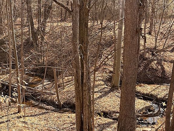 4th image of 15 Mile Rd