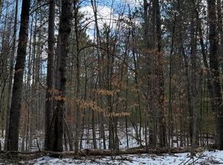TBD East Long Lake Road, Danbury, WI 54830