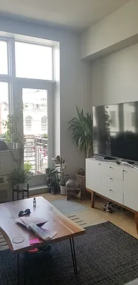 Rented by Fiddler Realty | media 29