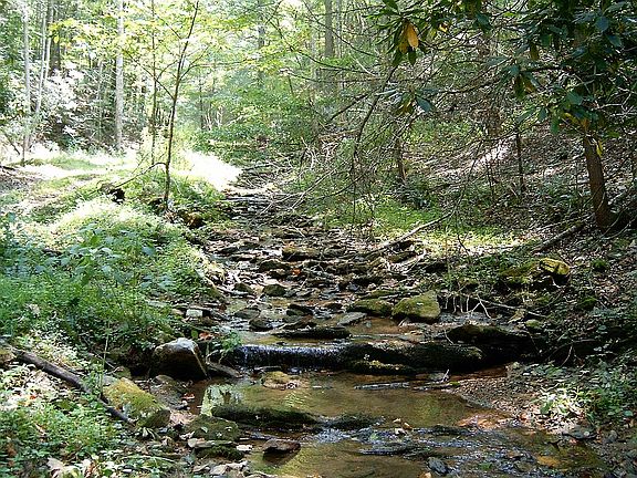 Branch to the New River