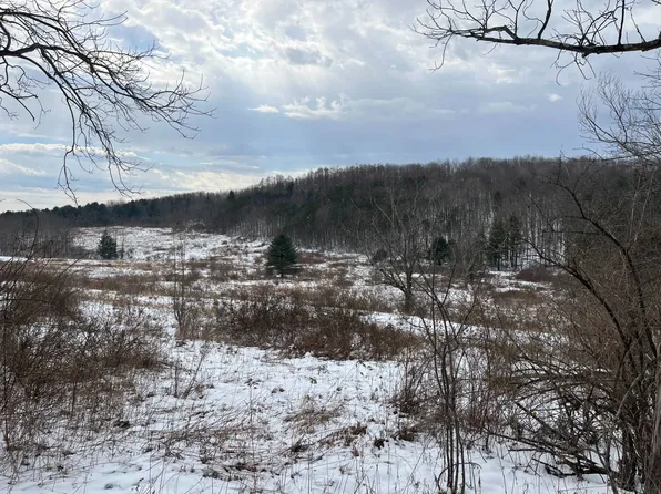 0 Glen Rd, Wysox, PA 18854