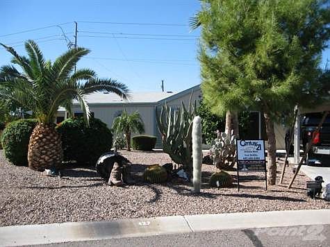 The Palms 427 008