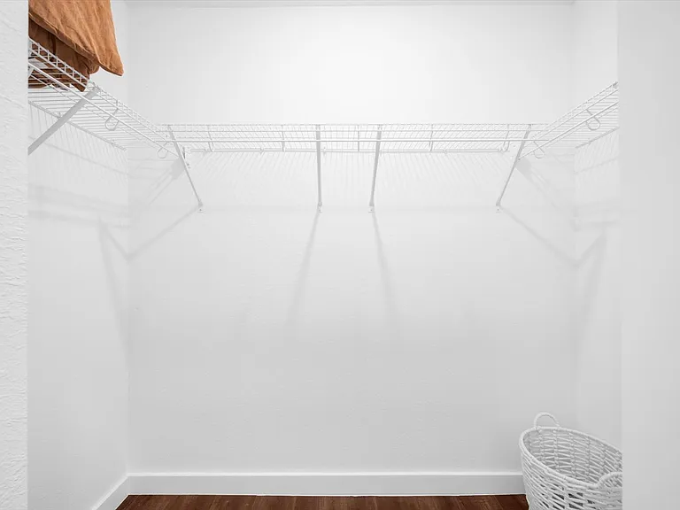 Primary Closet
