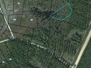 23 Hawks Way, Waynesville, GA 31566
