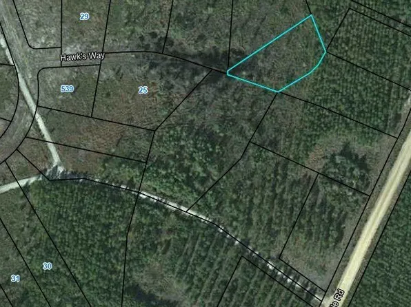 23 Hawks Way, Waynesville, GA 31566