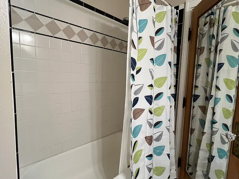 Bath currently to show full length vintage mirror on the back of the door and new curtain