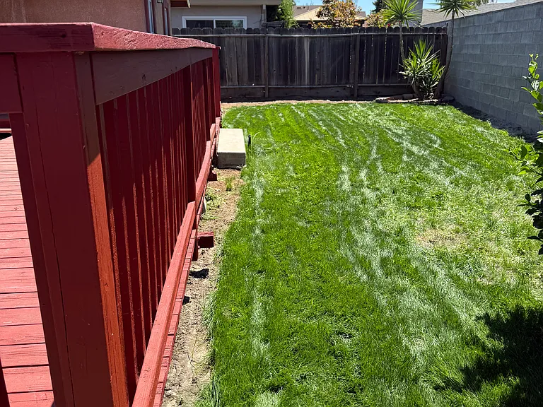 1059 Dill Way — Photo 5
