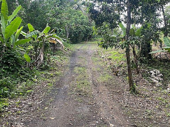 4th image of Ca 301 Carr175 Km61 Bo Carraizo Lot 4