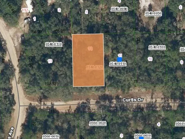 0 Curtis St #12, Interlachen, FL 32148