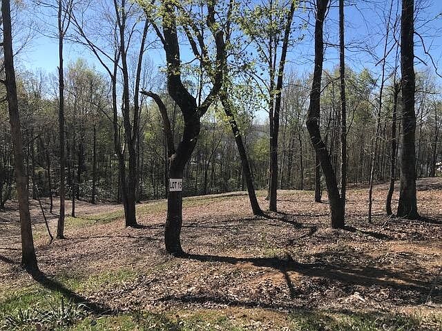 1st image of 15 Piney View Dr