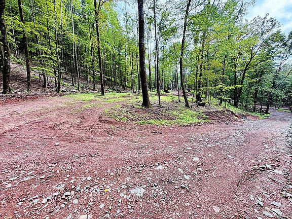 3rd image of 00 Hammer Road