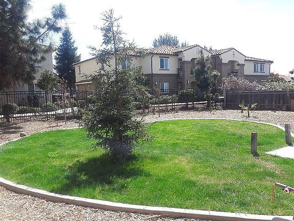 rear center of complex