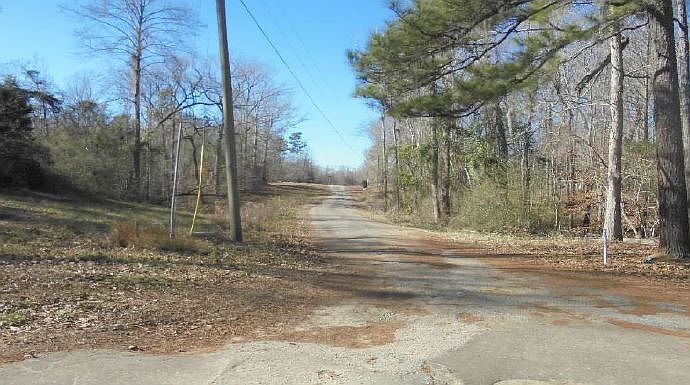 2nd image of 225 Honeysuckle Ln